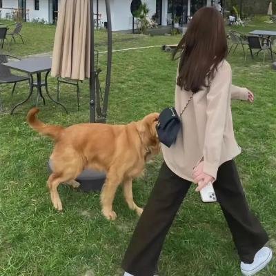 天使的声音